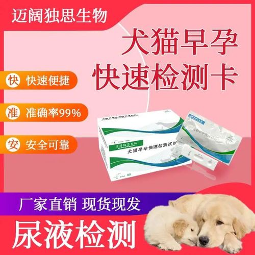  前期筛查