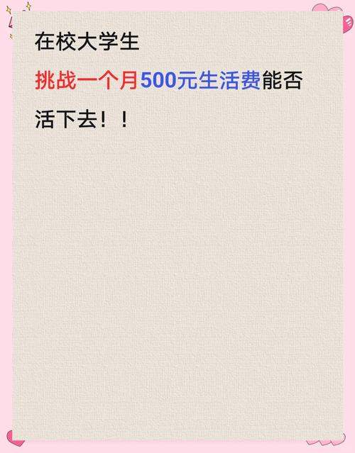 费用挑战