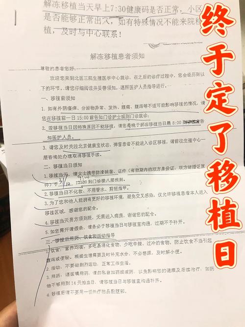  胚胎移植日
