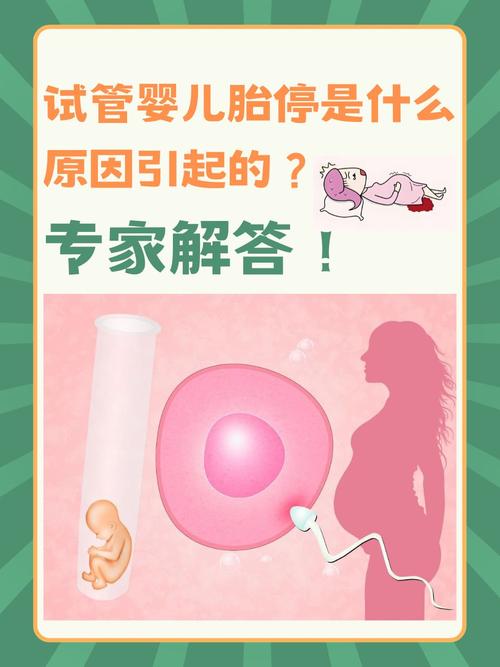 胎停后可以直接尝试试管婴儿吗？