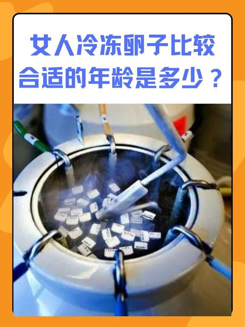 卵子冷冻技术