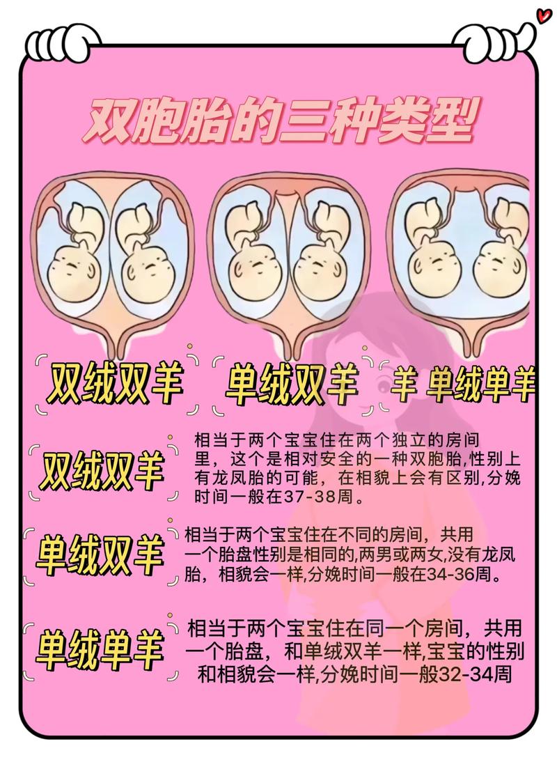 双胞胎妊娠率