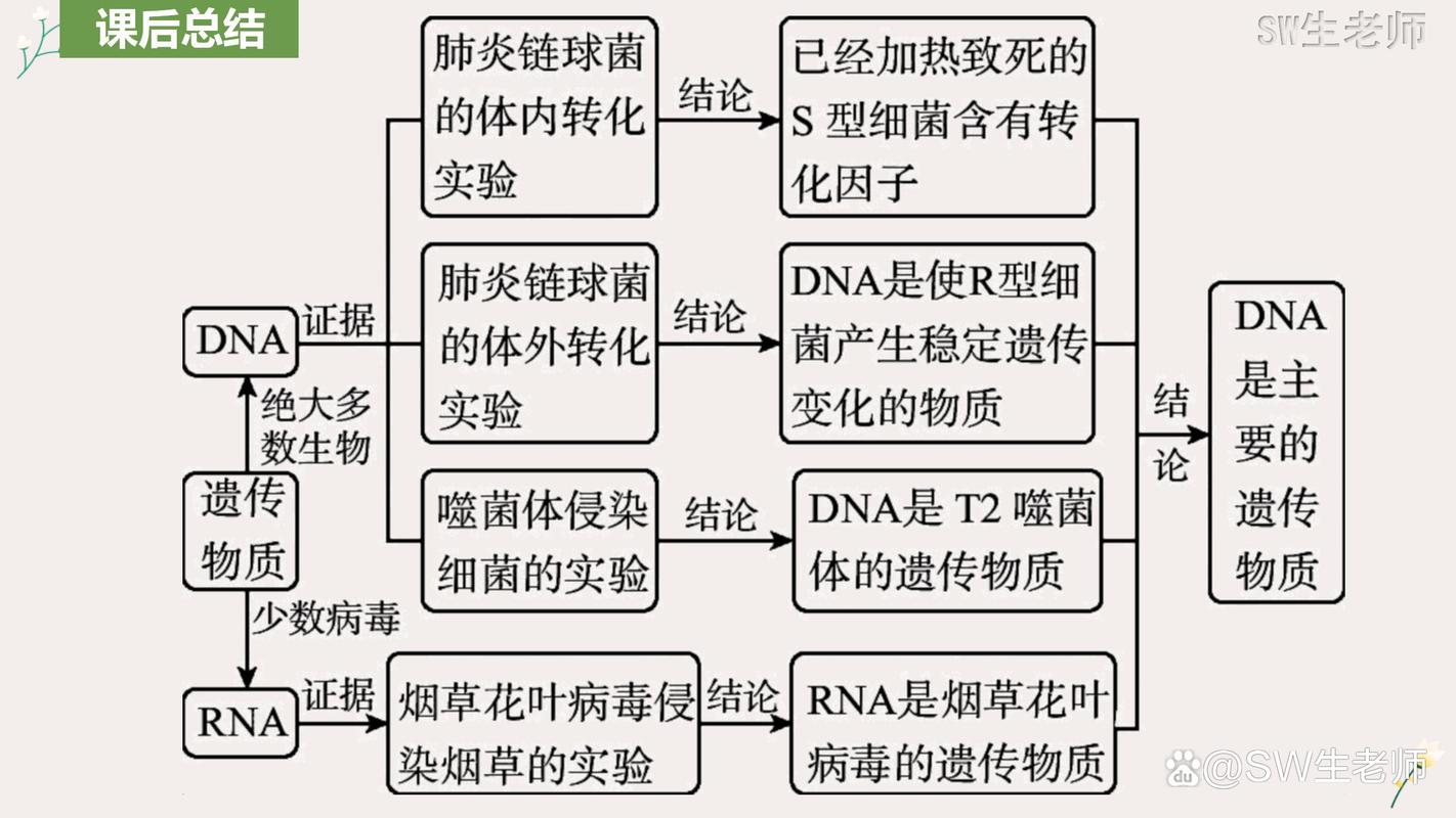  遗传物质