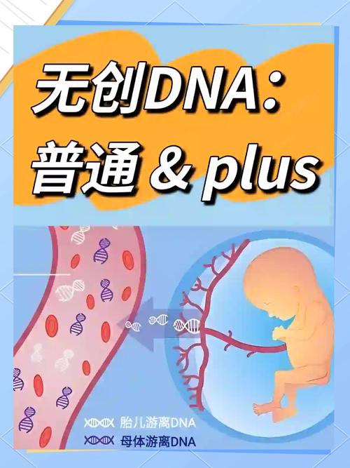  无创检测