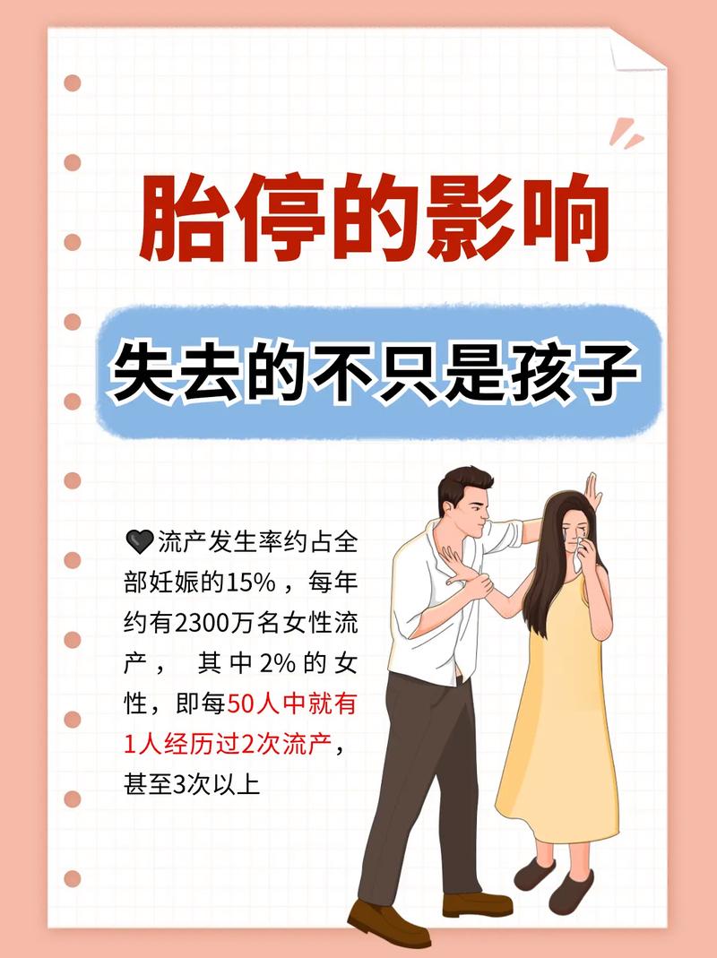 胎停影响