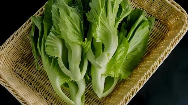 试管婴儿饮食指南：芥菜是否安全？