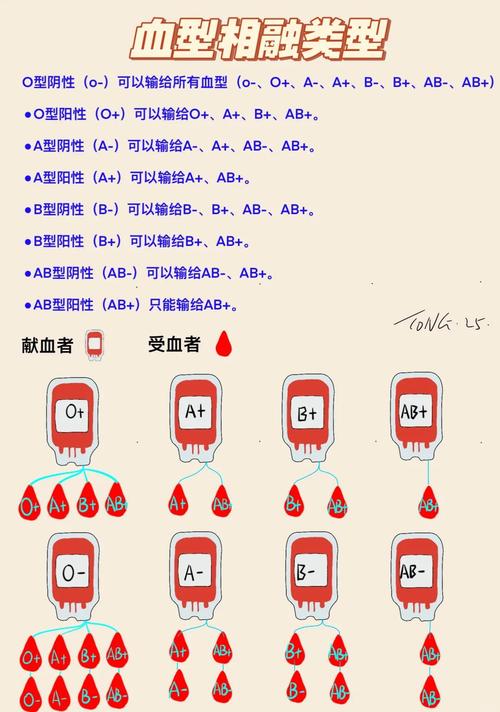 血型确定