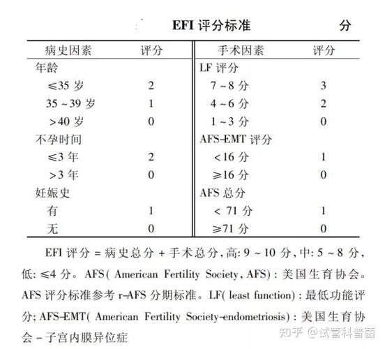 内膜评估