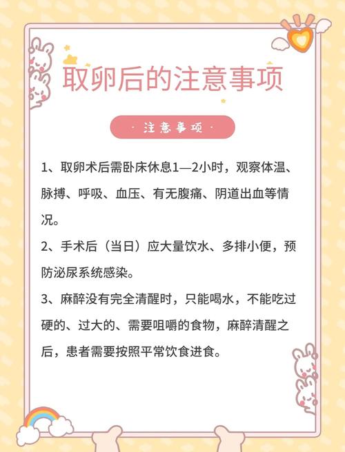 采卵后流程