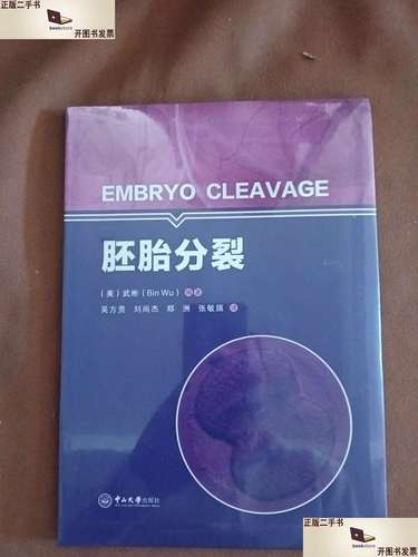  胚胎分裂