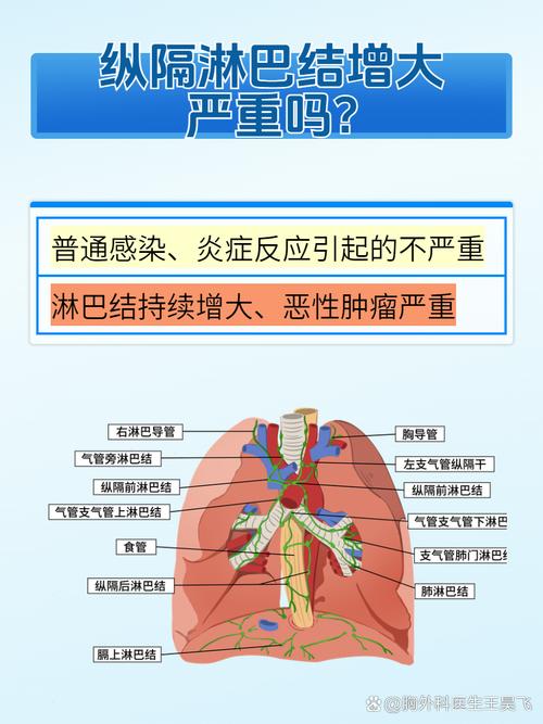 纵隔疾病