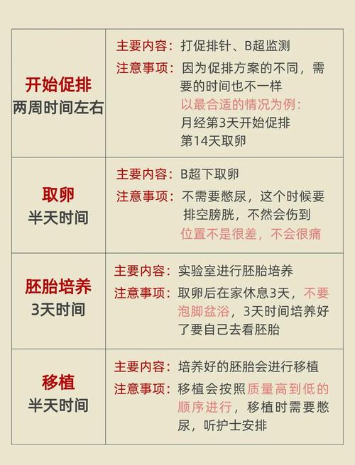 试管婴儿的黄金时间是晚上几点？