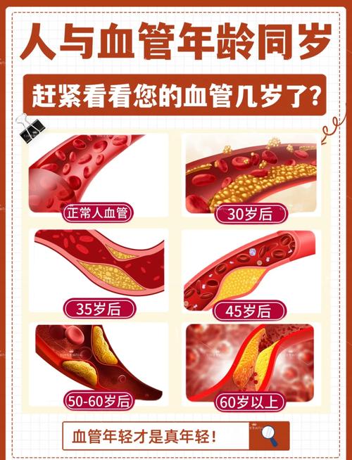 血管健康
