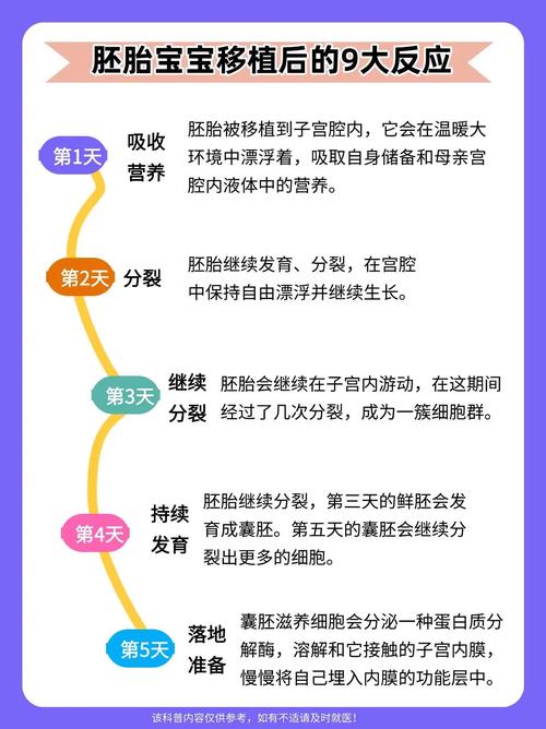 试管婴儿治疗过程中可能出现哪些常见反应？