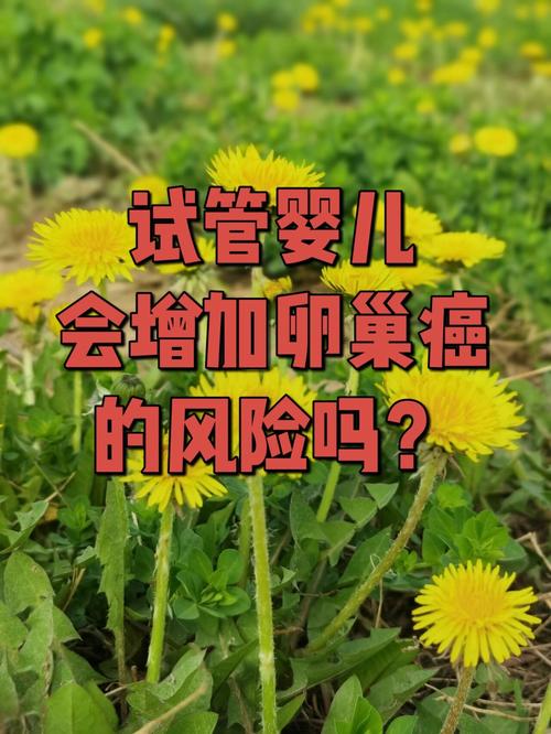 试管婴儿是否会提高卵巢癌风险？