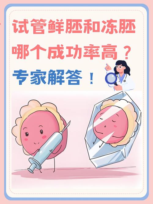 男女同性伴侣试管婴儿的可行性探讨