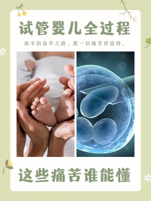 解密试管婴儿：过程是否痛苦？