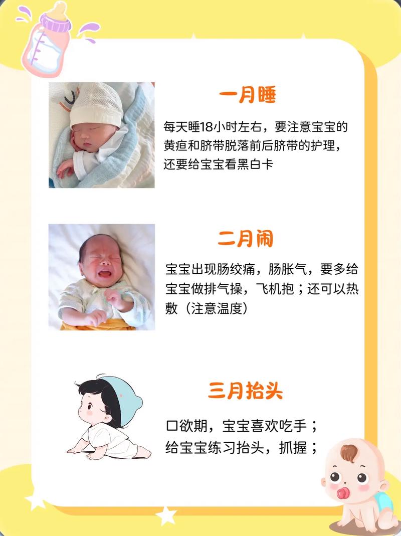 宝宝情况
