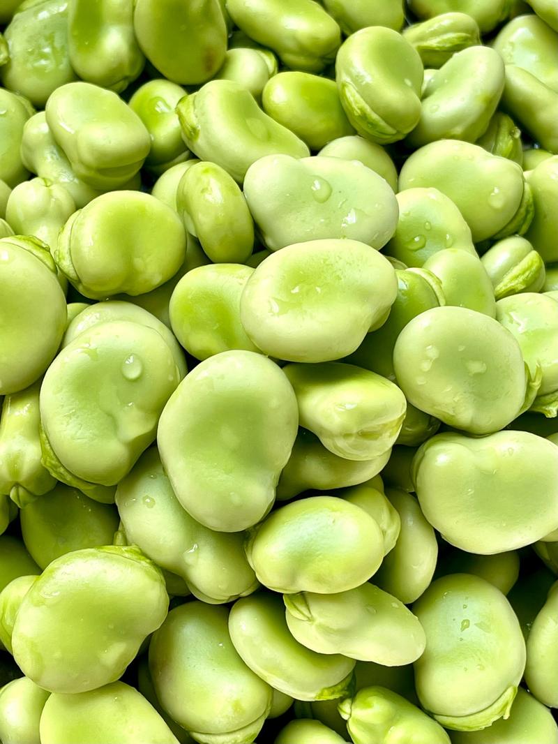 蚕豆