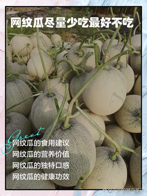 试管婴儿期间可以吃网纹瓜吗？