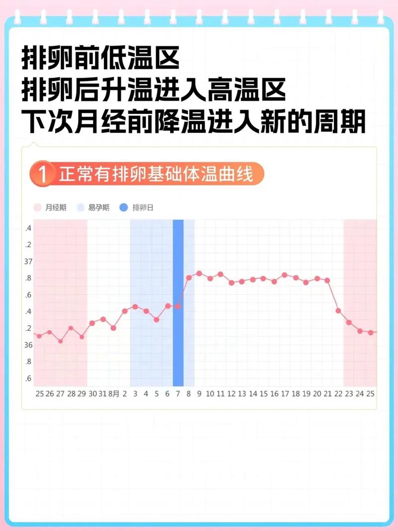 排卵监测次数