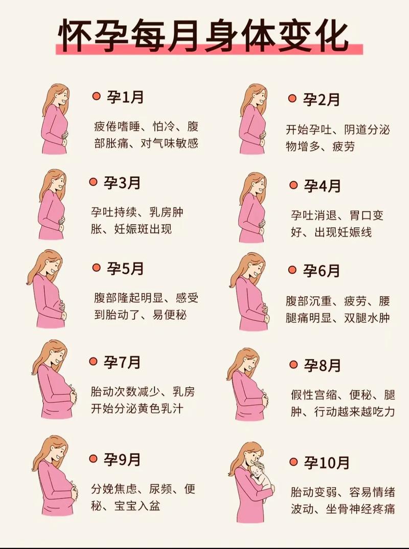 显怀时间