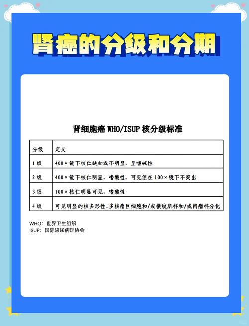 肾癌风险