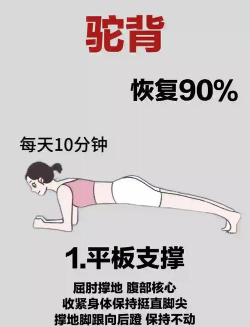 弓背姿势