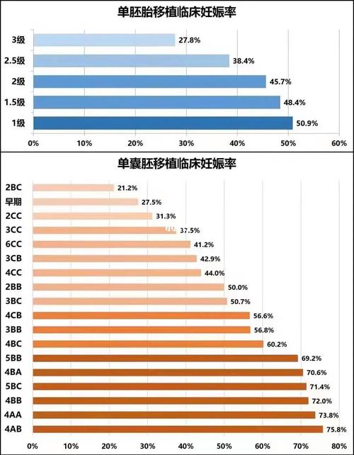 囊胚形成率