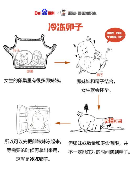 卵子冷藏