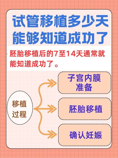 浪子能通过试管婴儿成功当爹吗？