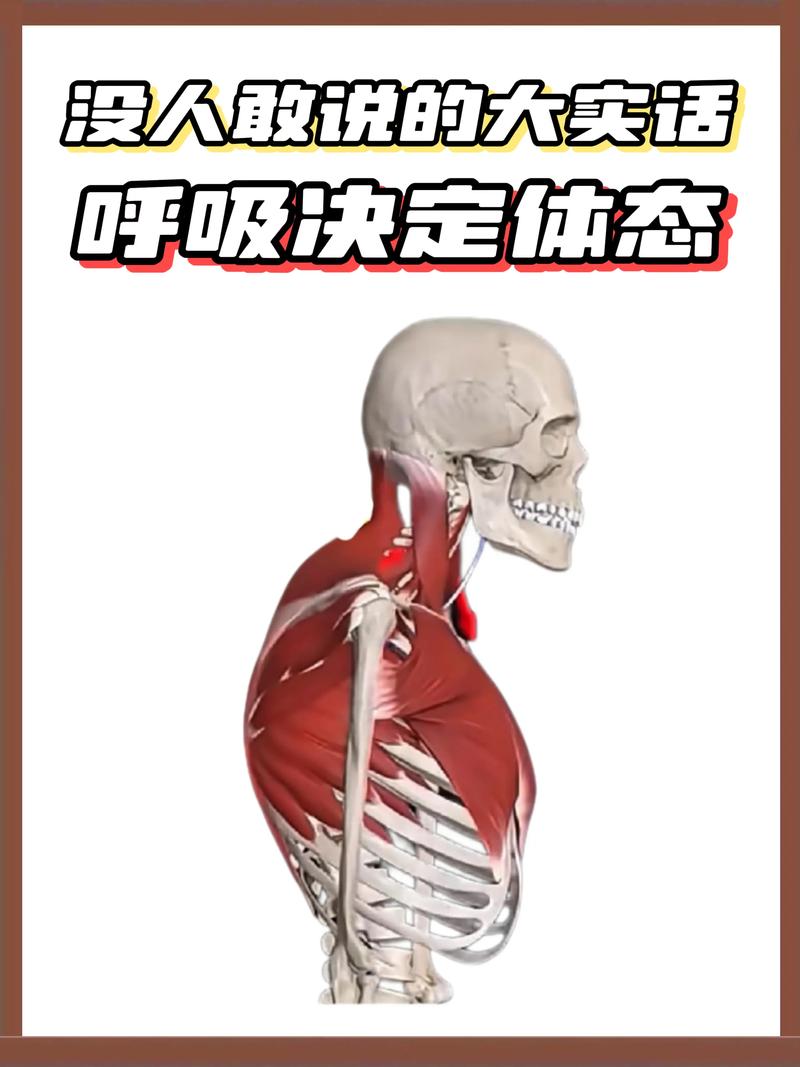 呼吸问题