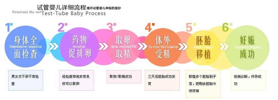 试管婴儿的具体定义与标准是什么？