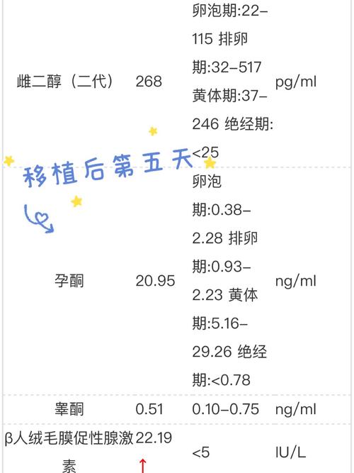 移植后经历