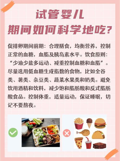 试管婴儿期间有哪些营养食补推荐？