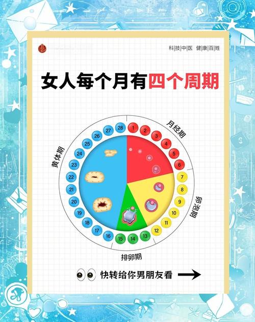 生理周期方案