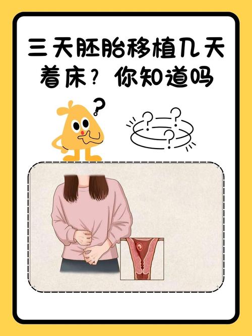 试管婴儿手术后为何不能立即下床？