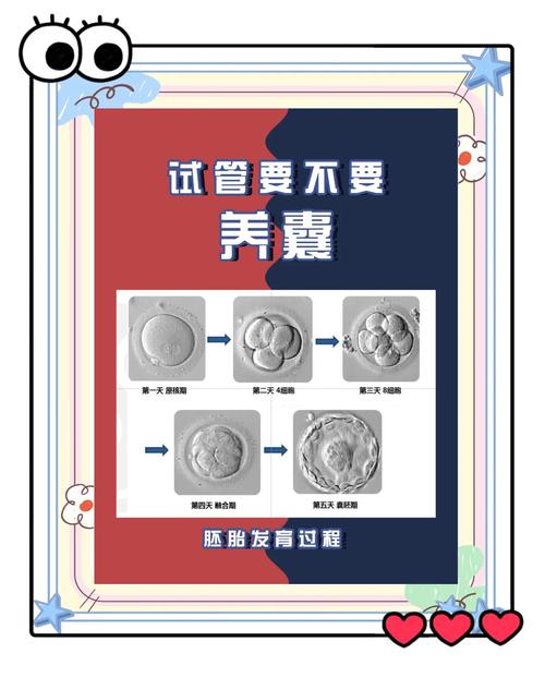 试管婴儿可以要求养囊吗？医生解读