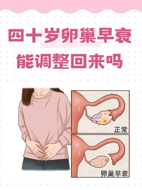 卵巢变小