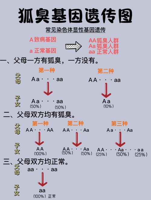狐臭基因