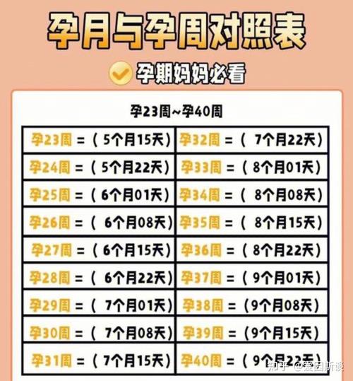试管婴儿的监测期大概是几周？