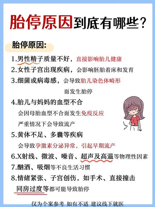 试管婴儿也可能面临胎停风险吗？