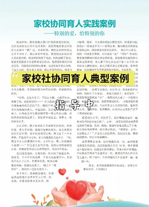 成功案例分享