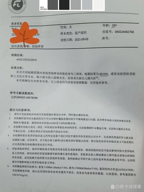 胚胎基因诊断