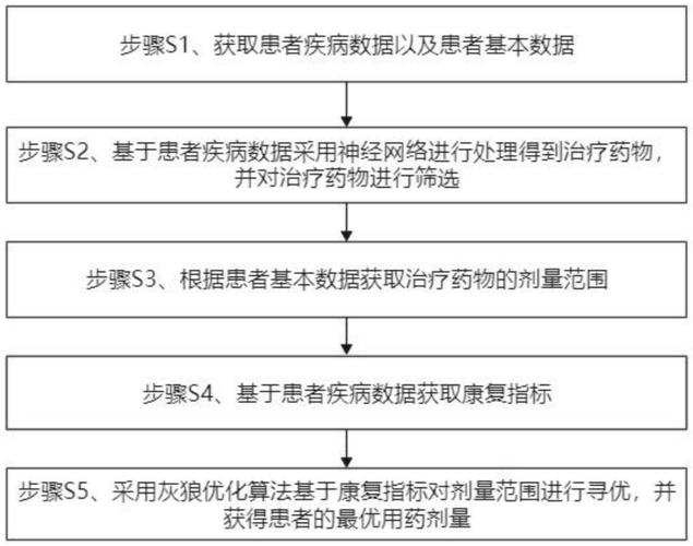 个性化治疗平台