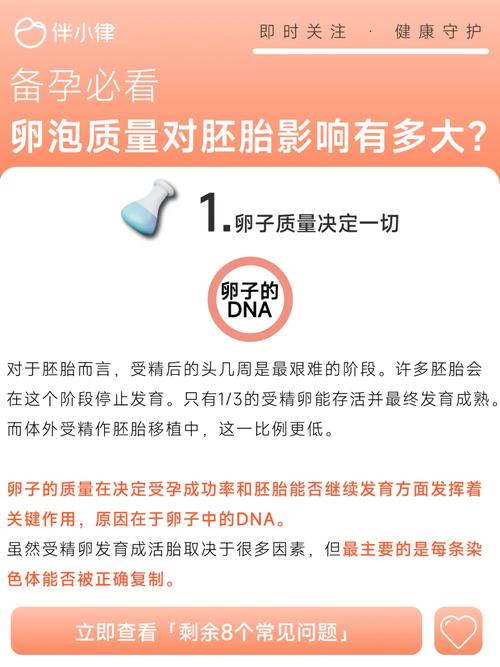卵泡大小影响试管婴儿效果吗？