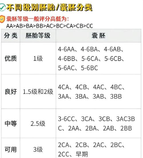囊胚评级
描述: 本文详细解析了试管婴儿胚胎级别的划分标准，包括细胞数目、均一性、碎片率等，还分享了实际经验。同时介绍了囊胚评级情况，强调胚胎级别非成败唯一因素，鼓励大家积极面对试管婴儿过程。
