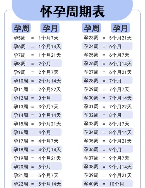  周数计算
