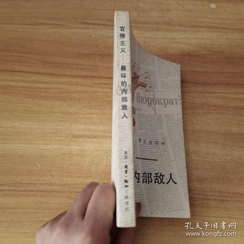  内部敌人