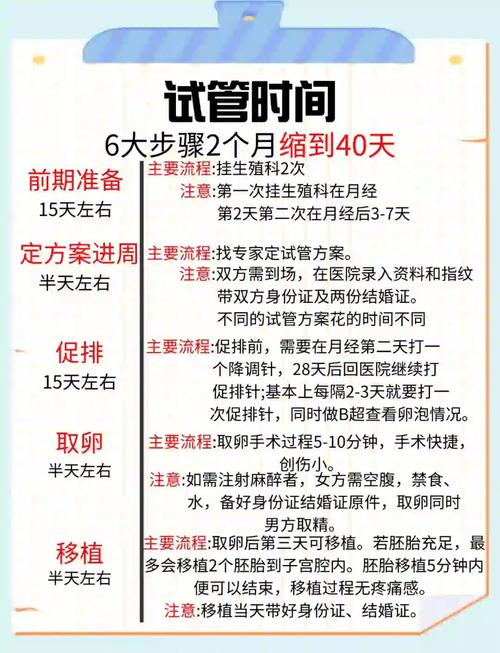 生殖医学
描述: 本文详细讲述了2008年试管婴儿技术的重要突破，包括胚胎植入前遗传学诊断技术优化和玻璃化冷冻技术应用，阐述了其对医疗生殖领域、社会和家庭的深远影响，展现技术进步带来的积极意义 。